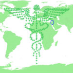 医療大麻が使える国地域アクセス地図