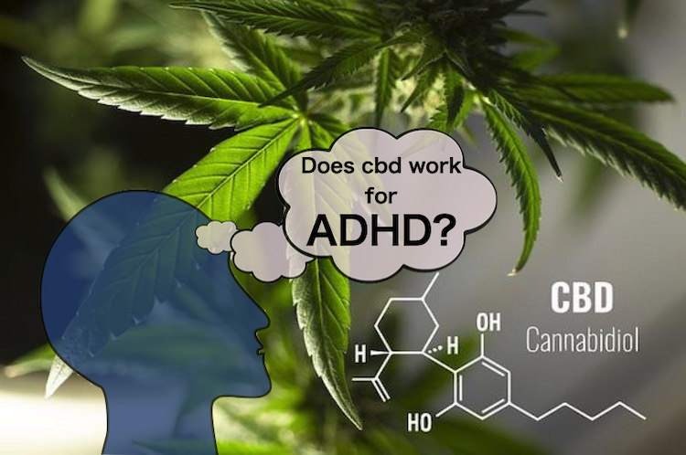 ADHDにCBDは効く？