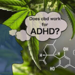 ADHD and Cannabidiol
