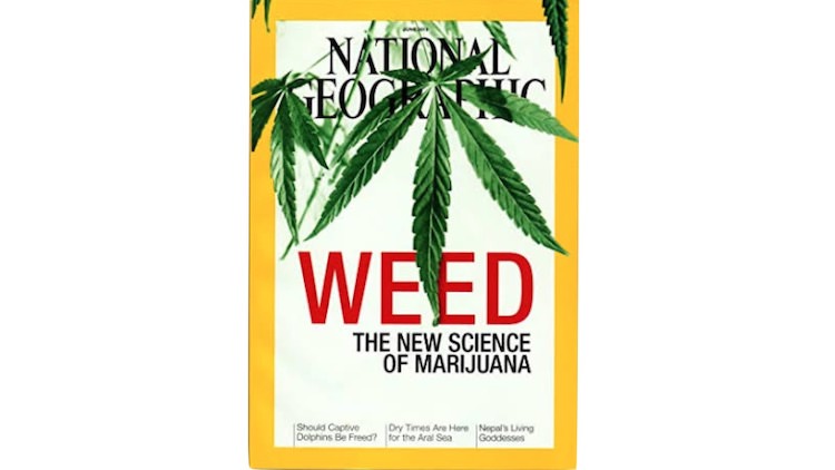 National Geographic2015のWEED特集