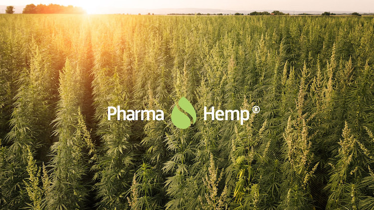 Pharma Hemp logo