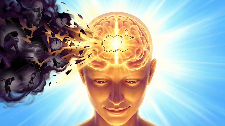 ネガティブなメモリーは消える